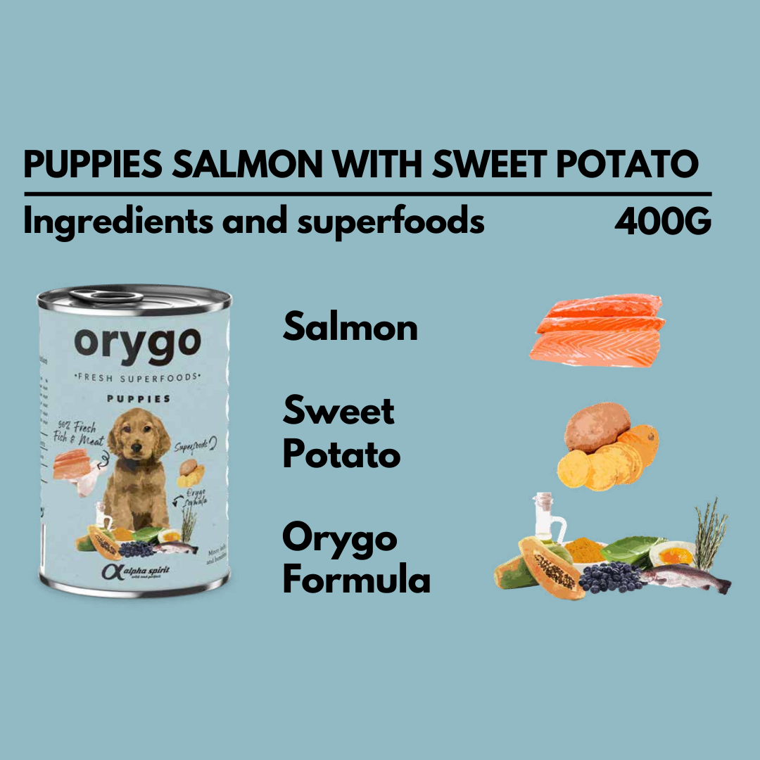 Puppy salmon with sweet potato wet dog food from orygo.