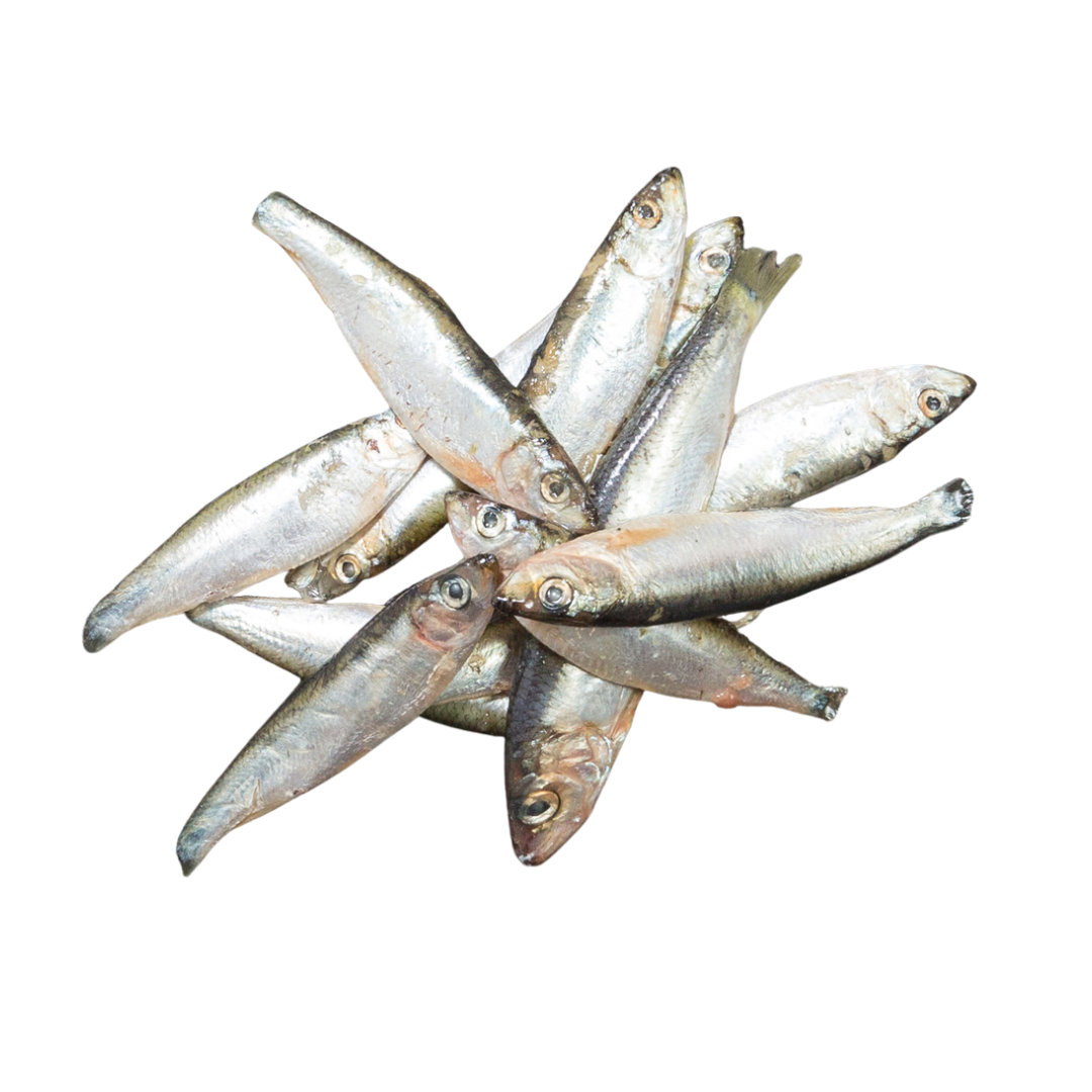 Can dogs 2025 eat raw sprats