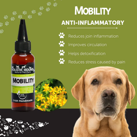 Holistic Hound Mobility Anti-Inflammatory Tincture
