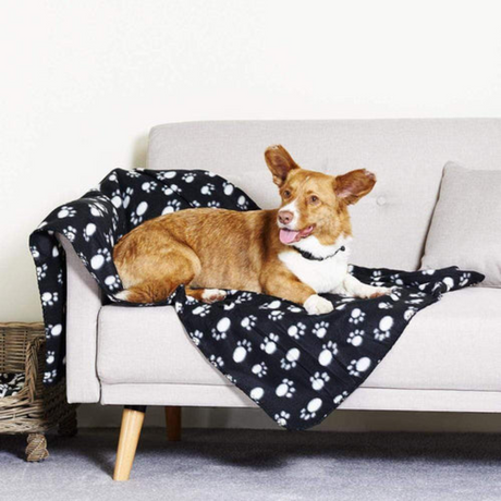 Corgi on a sofa, laying on a black Bunty fleece pet blanket.