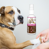 Dog having its paw bandaged, along with a bottle of Provilan Lucca Dermo Care, probiotic wound care for pets