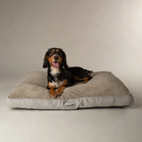 Scruffs Harvard Memory Foam Mattress