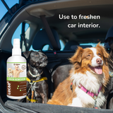 Dogs in the boot of a car, a bottle of Provilan Odor Remover spray and text saying "Use to freshen car interior".