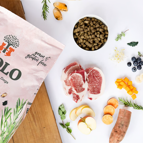 Corner of a bag, a bowl of kibble and raw ingredients of Ydolo Iberico Pork Semi Moist Cold Pressed dog food.