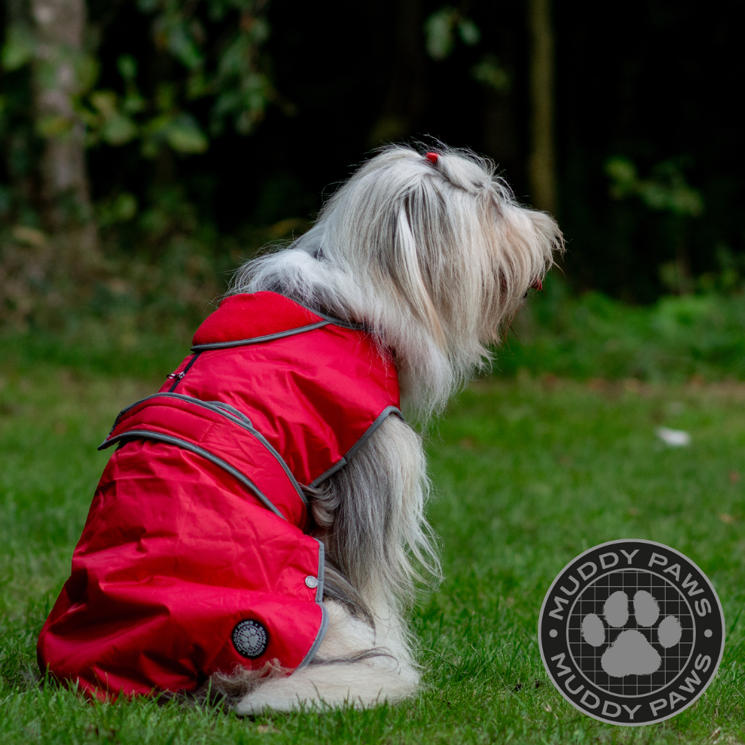 Ancol muddy paws clearance stormguard dog coat