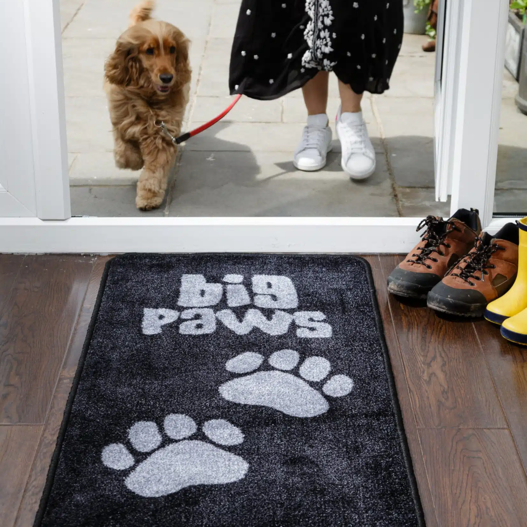 Stop Muddy Paws Rug