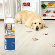 Retriever laying on the floor, with a trail of muddy paws following him. In the foreground is a bottle of Provilan Evaa Green All Floor Cleaner.