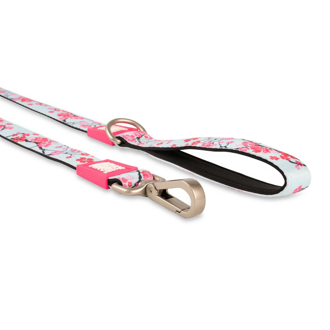 Up close of the carabiner clip and handle on the Max and Molly Cherry Blossom lead.