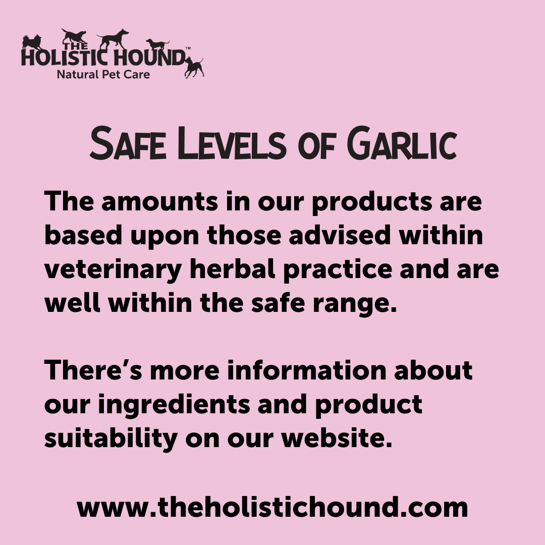 Safe Levels of Garlic - Holistic Hound