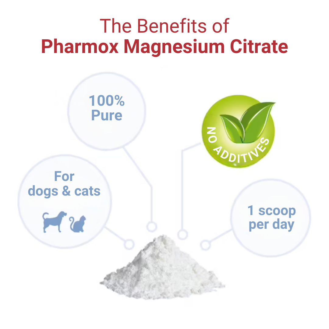 The Benefits of Pharmox Magnesium Citrate for Cats and  Dogs