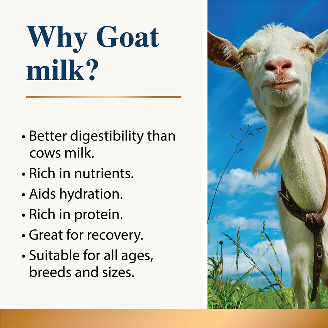 Karnlea Goat Milk Plus Pro & Postbiotics