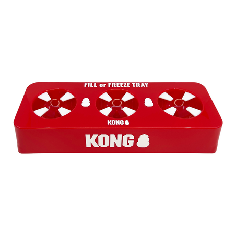 Kong fill or freeze tray against a white background