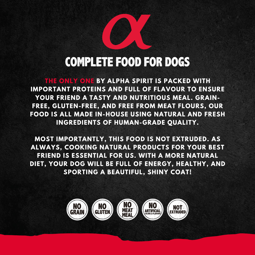 Complete food for dogs from Alpha Spirit.