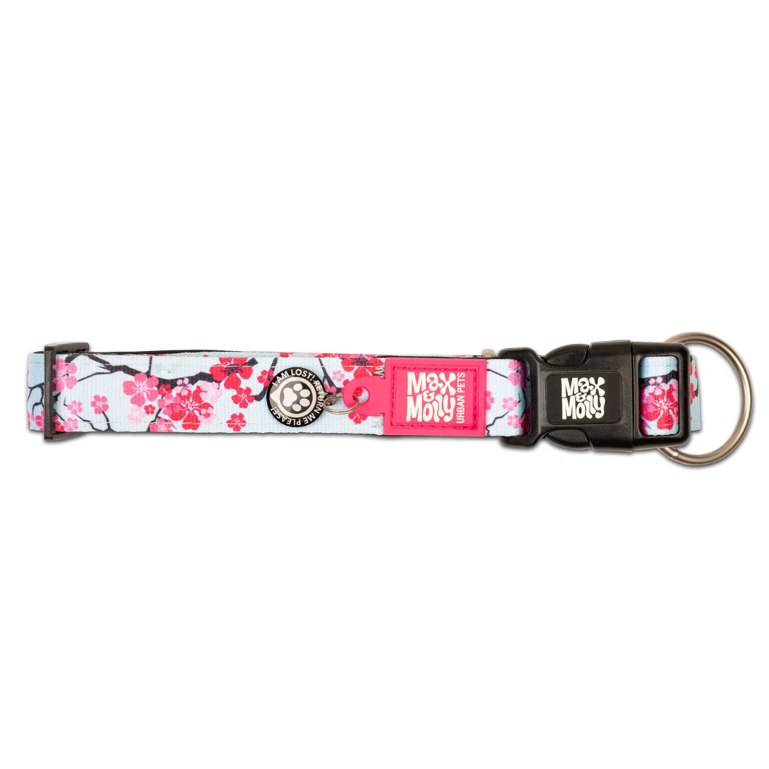 Top down view of a Max and Molly Cherry Blossom Dog Collar