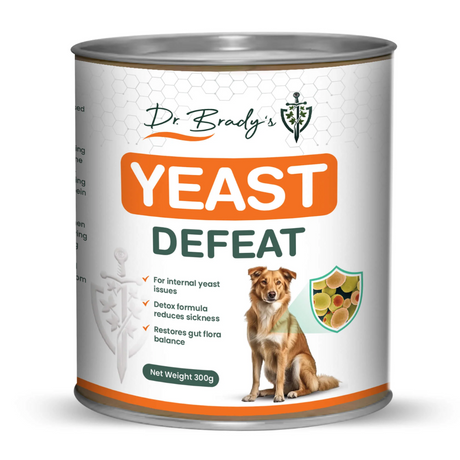 Dr Brady's Yeast Defeat 300g against a white background.