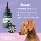 Holistic Hound Fundamentals Seniors supplement for dogs and a Weimaraner. 