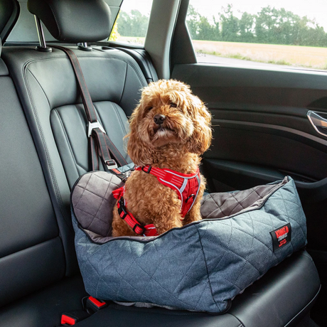 Small dog sitting in the Kong Ultimate Safety Travel seat in a car.