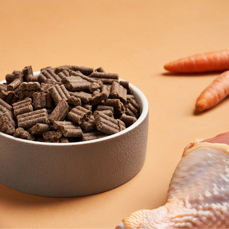 A bowl of DARF Cold Pressed Turkey dog food beside a raw turkey leg and raw carrots.