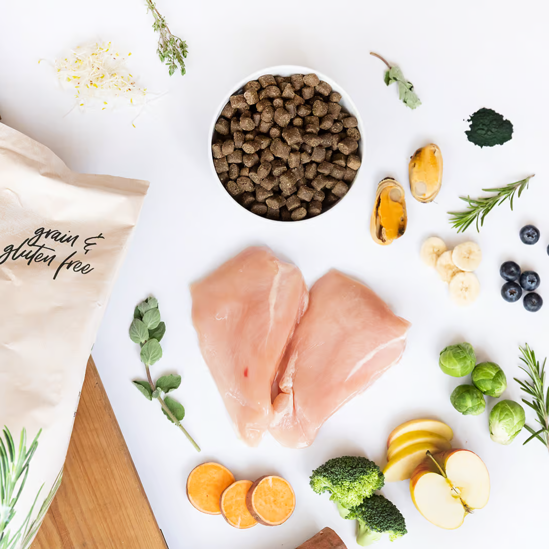 Top down view of Ydolo Chicken Semi moist dog food in a ceramic bowl, surrounded by raw ingredients including chicken, apple and spirulina. 