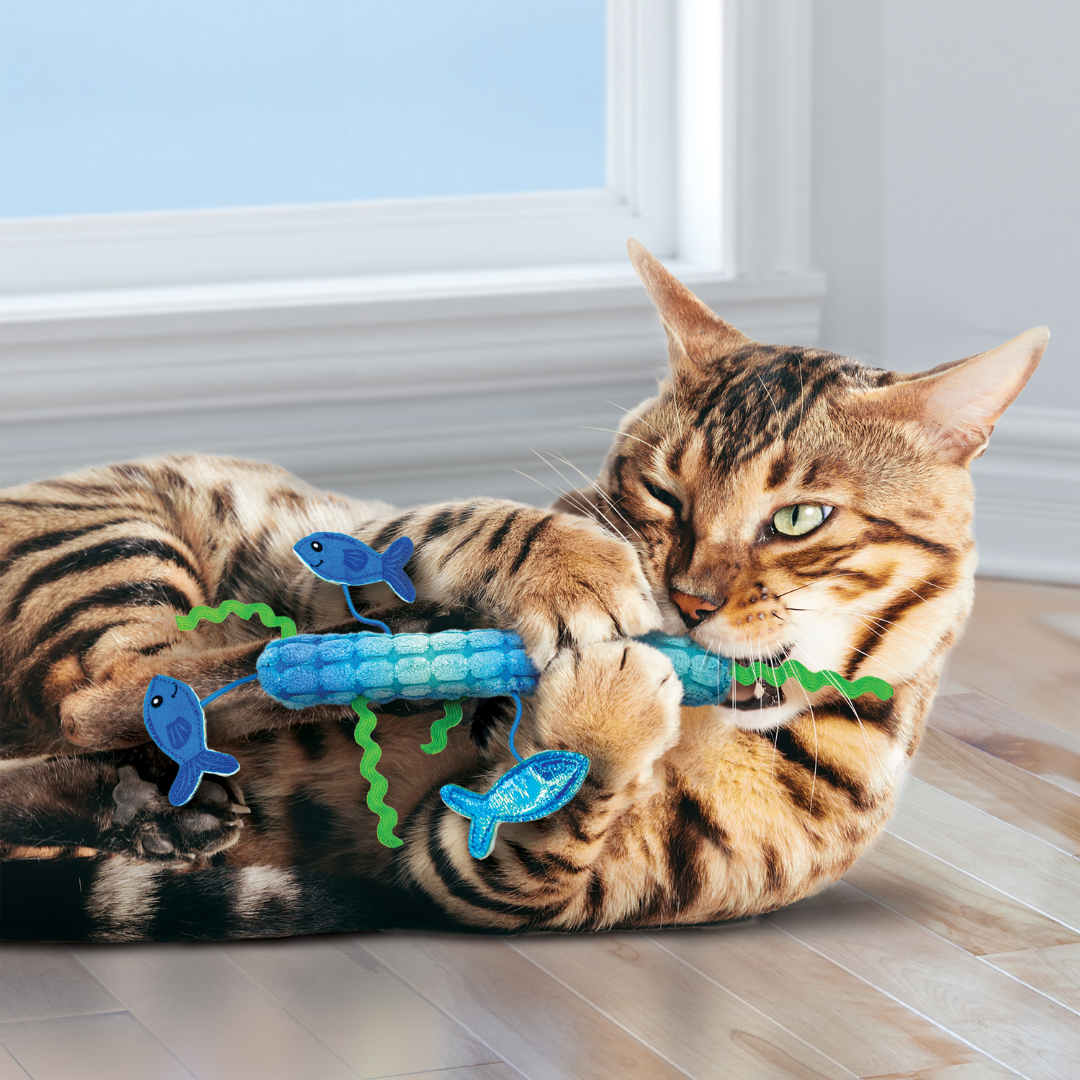 Tabby cat playing with the Kong Stickeroo cat toy.