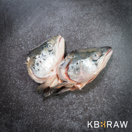 Two KB Raw Salmon heads.