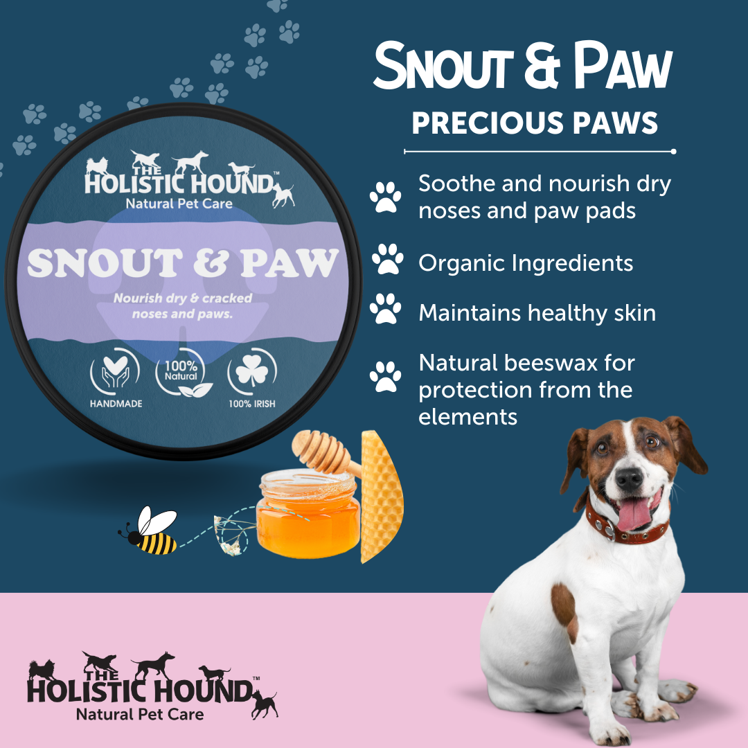 Holistic Hound Snout and Paw Balm