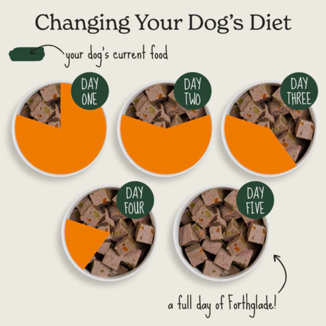 A guide for changing your dog's diet to forthglade wet dog food.