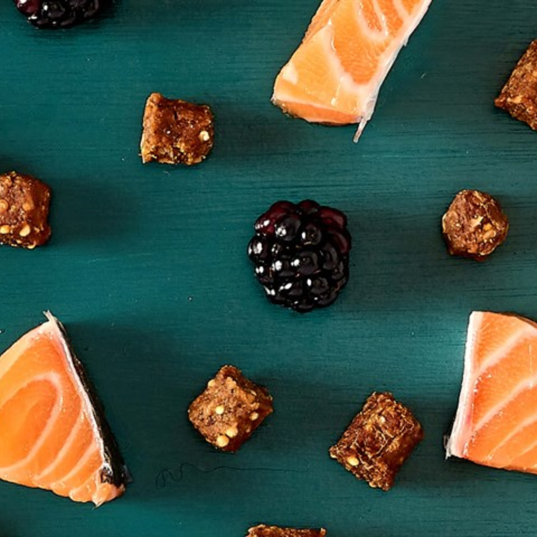 Green background with Tribal Trainer treats, blackberries and raw salmon pieces.