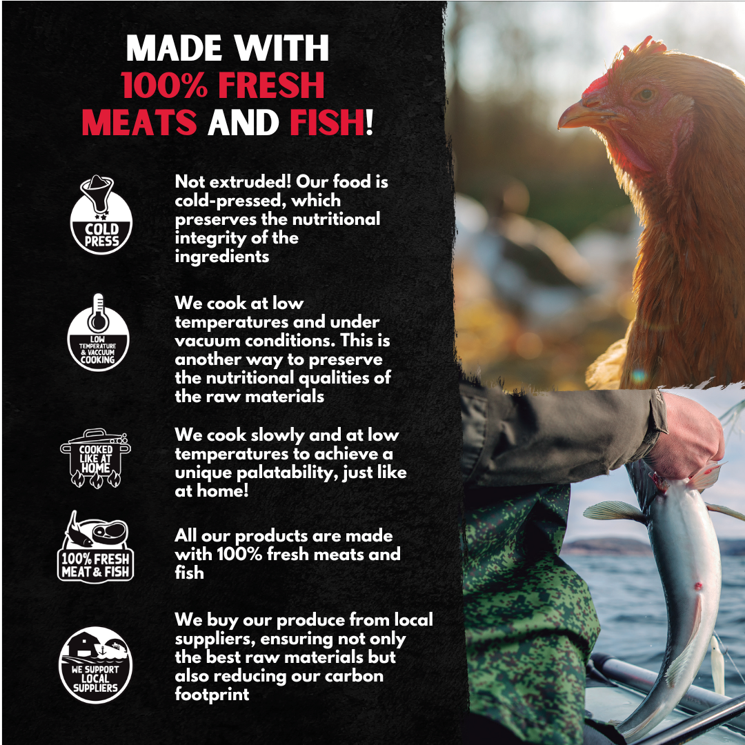 Benefits of Alpha Spirit, including made with 100% fresh meat and fish.