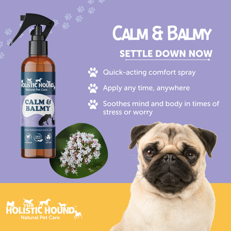 Holistic Hound Calm and Balmy