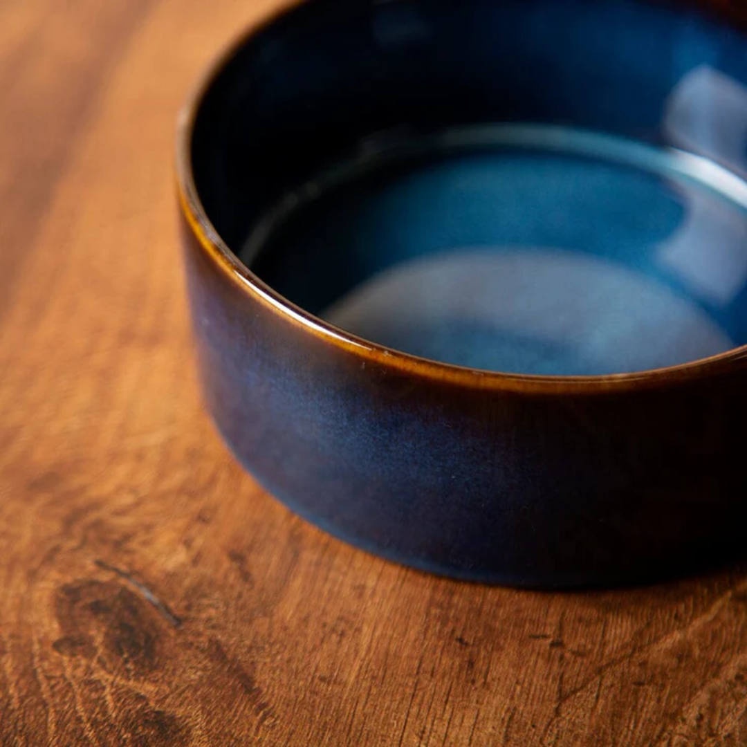 Top down view of a Scruffs Reactive Glaze pet bowl.