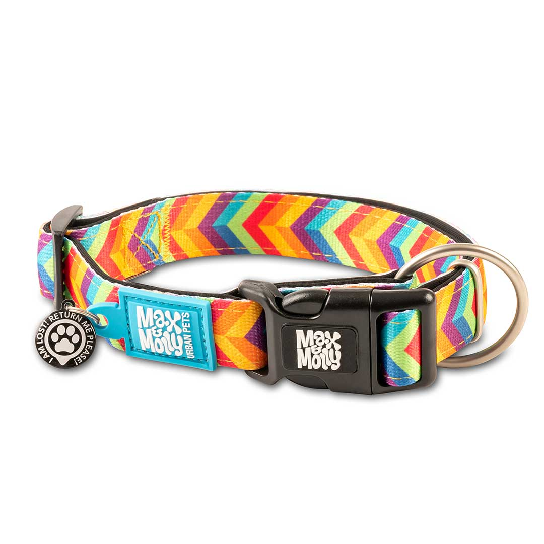 Max and Molly Summertime dog collar with GOTCHA Smart ID tag