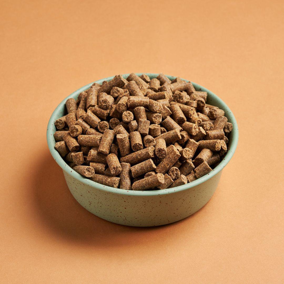 A bowl of Darf Cold Pressed North Sea Dog Food kibble.