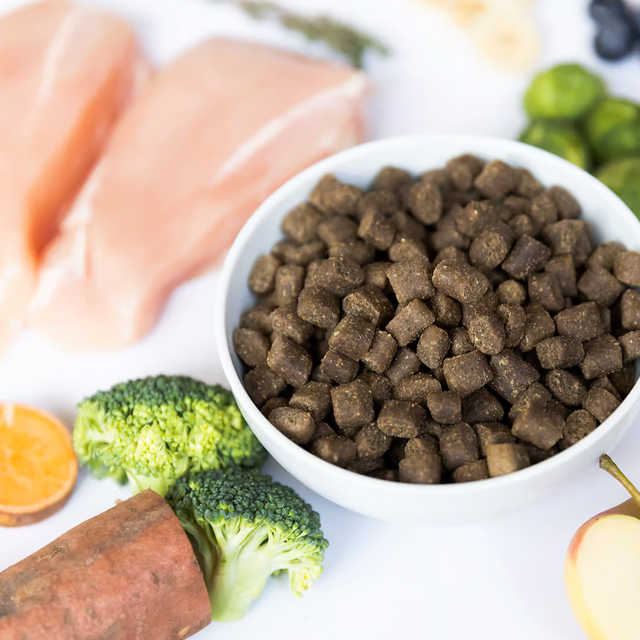 Ydolo Chicken Cold Pressed Semi Moist dog food in a white dish, surrounded by the raw ingredients of the food.