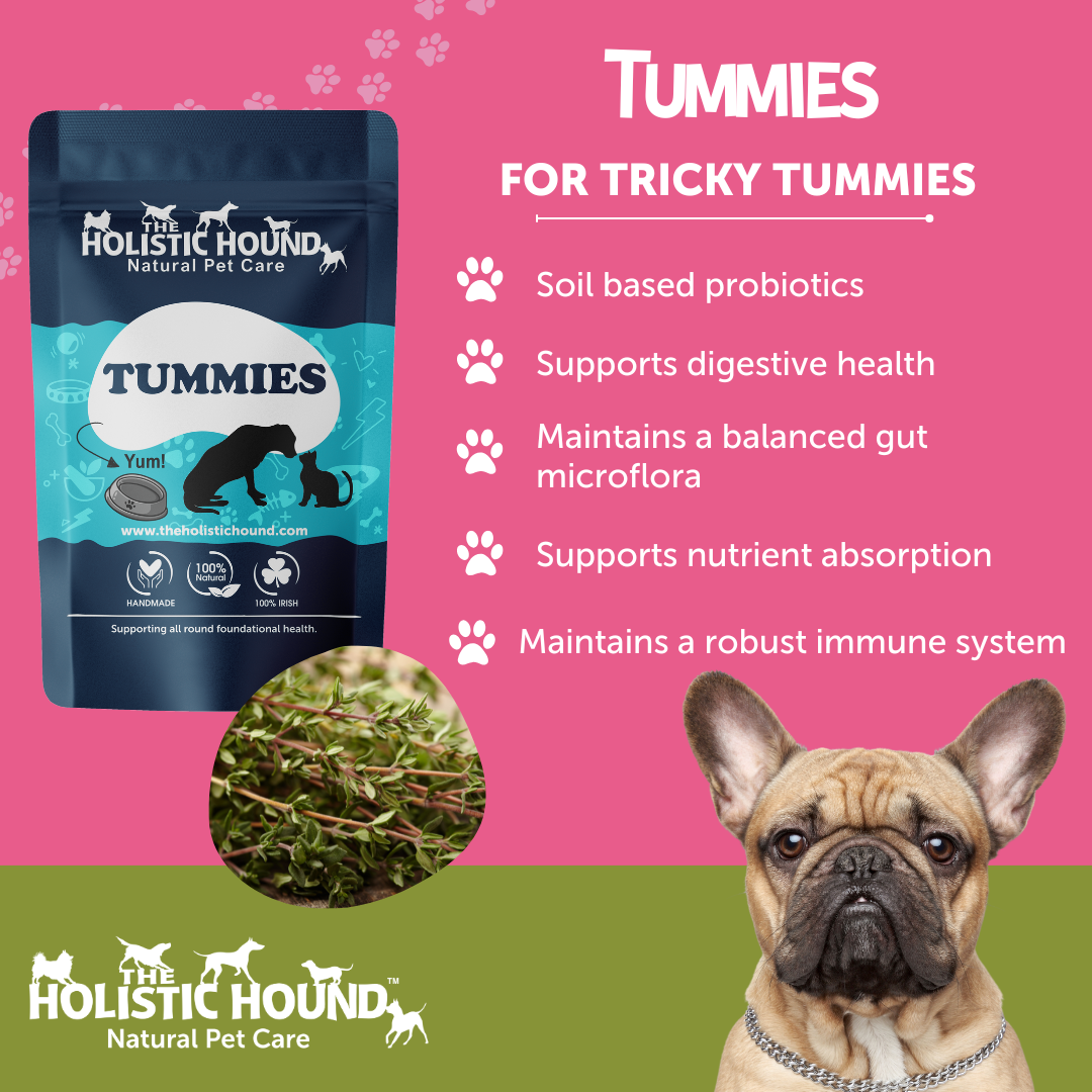 Holistic Hound Tummies - Pre and Probiotics for Dogs