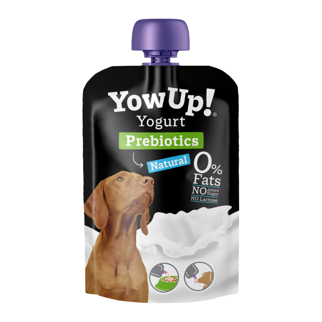 Best yogurt for puppies best sale