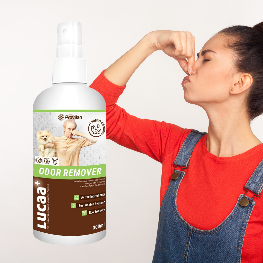 Person covering their nose and a bottle of Provilan Lucca Odor remover for pets.