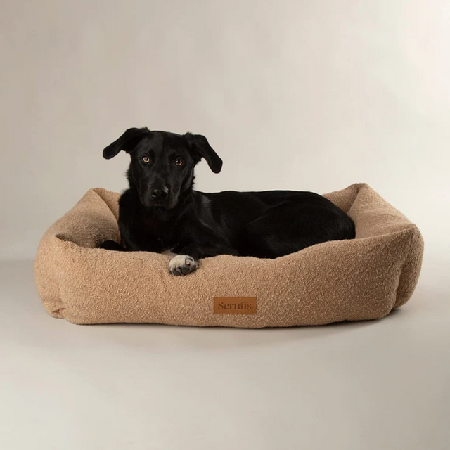 Black dog in a Scruffs Boucle dog bed.