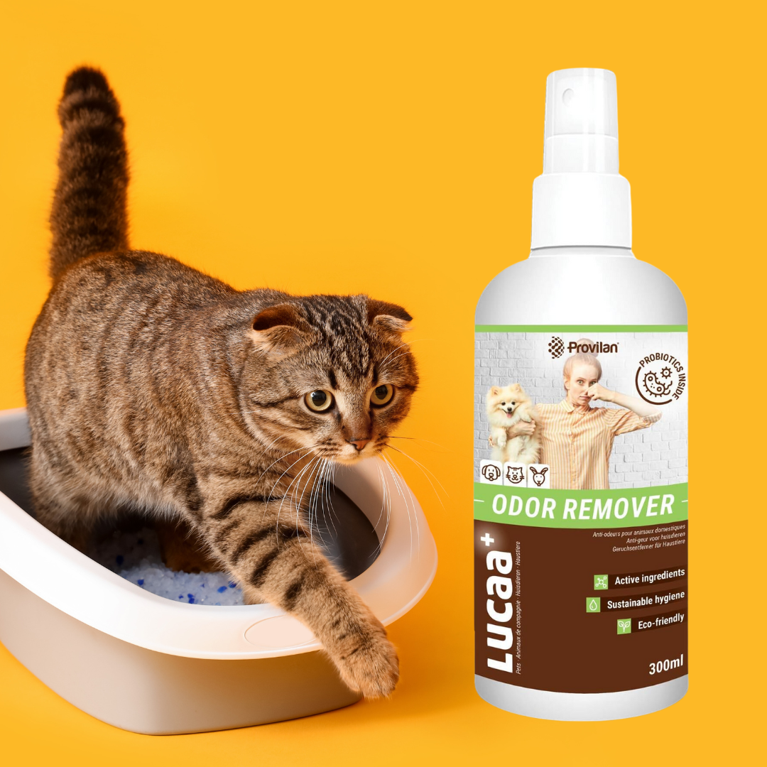 Cat leaving a litter tray and a bottle of Provilan Lucca Pet Odor remover spray.