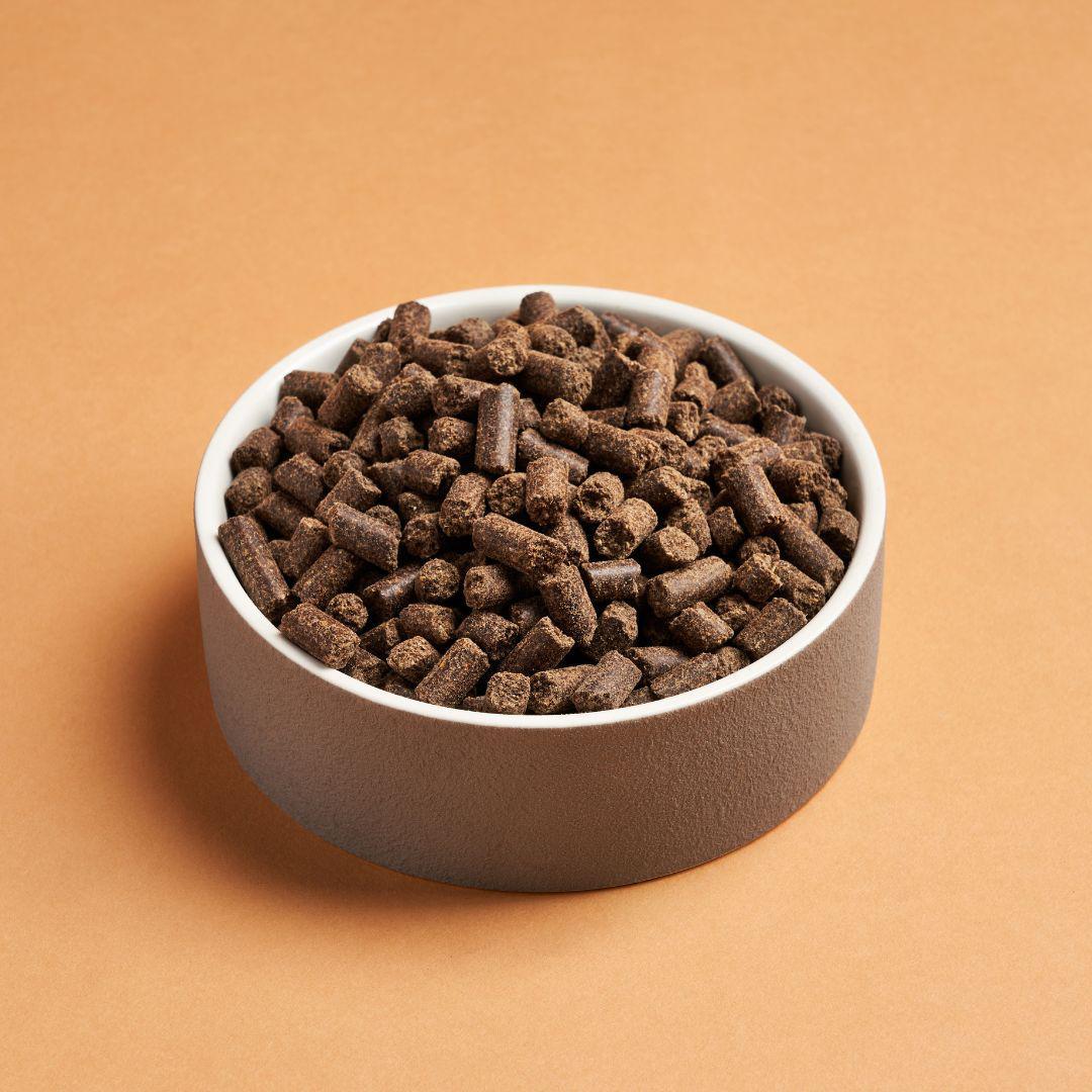 Ceramic bowl of Wild Darf Cold Pressed Dog Food.