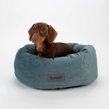 Dachshund in a teal Scruffs Oslo ring bed.