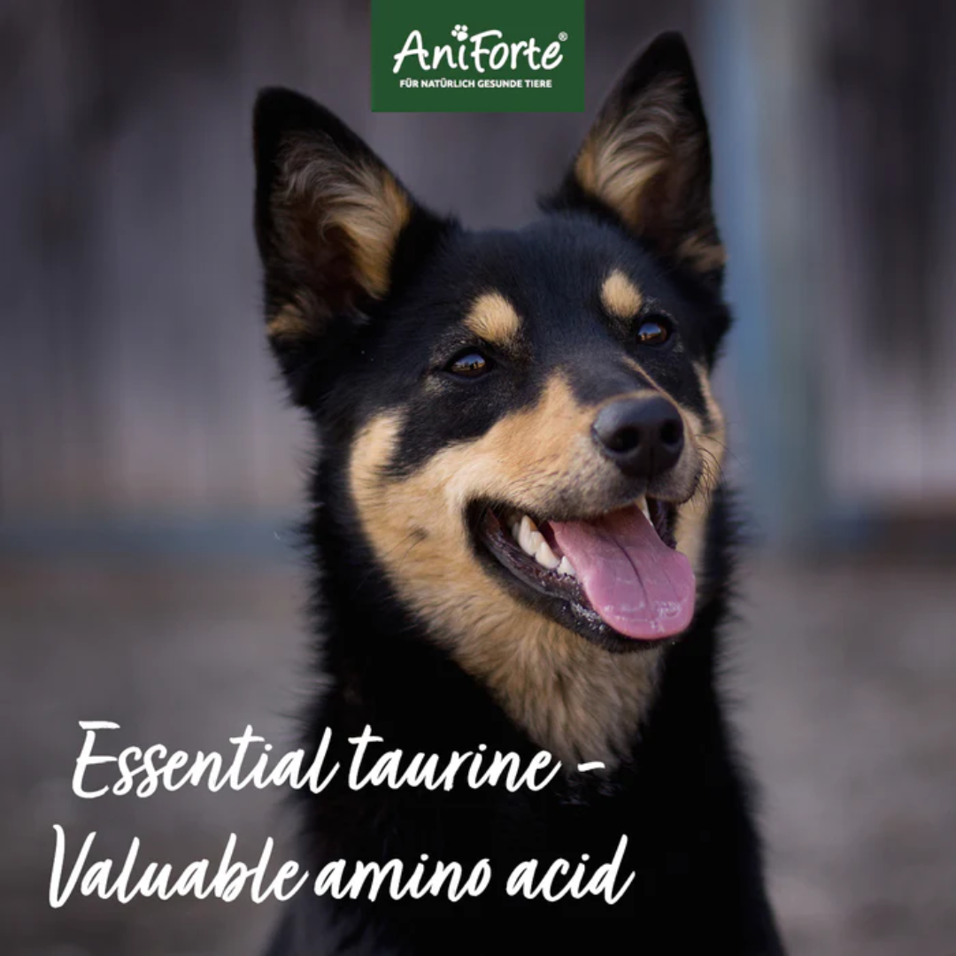 AniForte Taurine Powder for Dogs