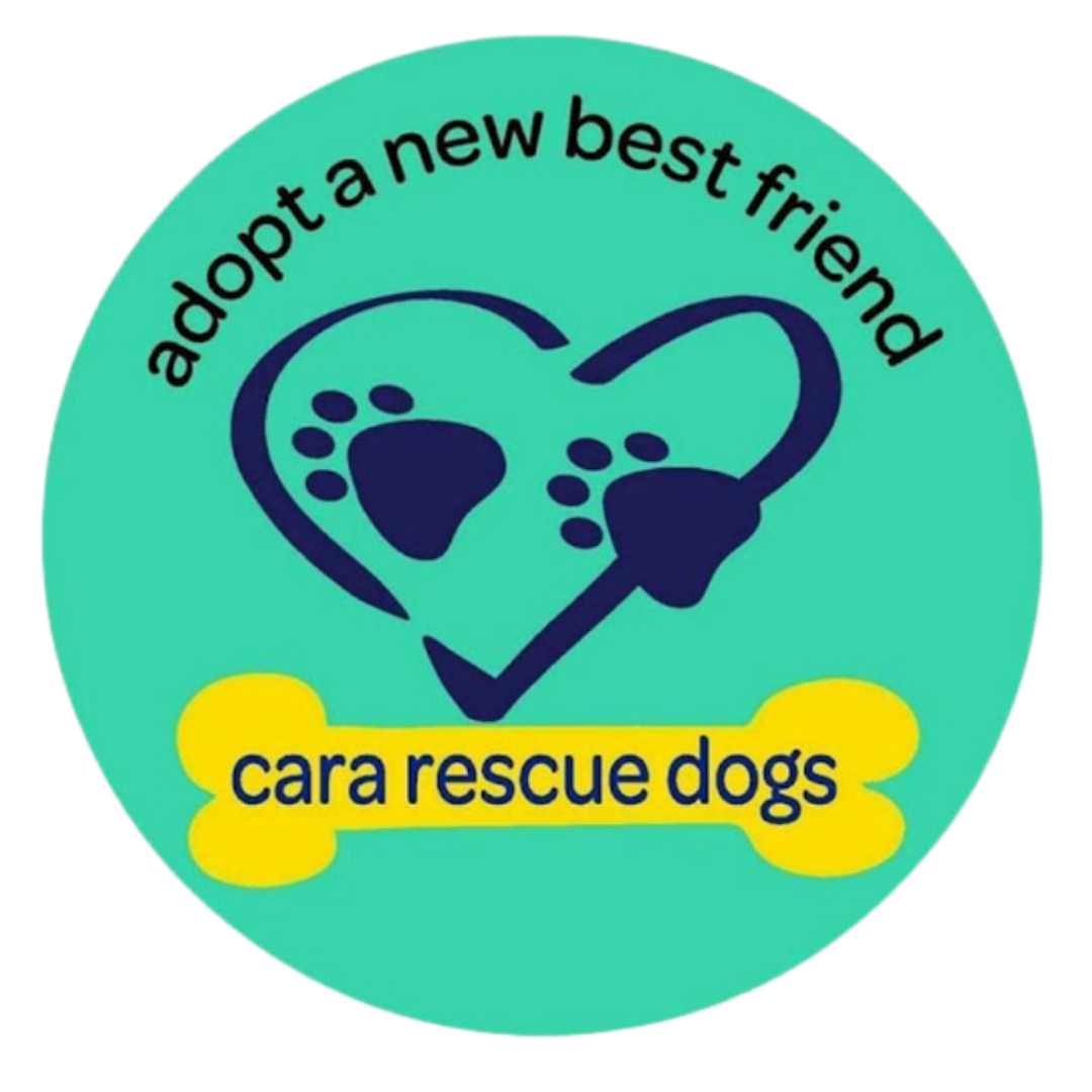 Cara Rescue Dogs Mug