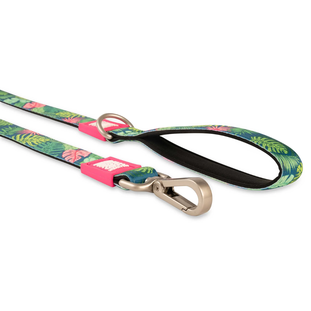 Up close of the carabiner and handle on the Max and Molly Tropical lead.