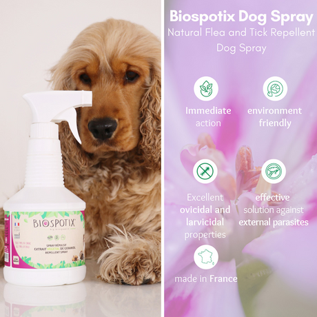 Biospotix Dog Spray infront of a golden cocker spaniel with the benefits