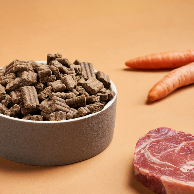 A bowl of DARF Cold Pressed Beef Dog Food with raw beef and carrots.