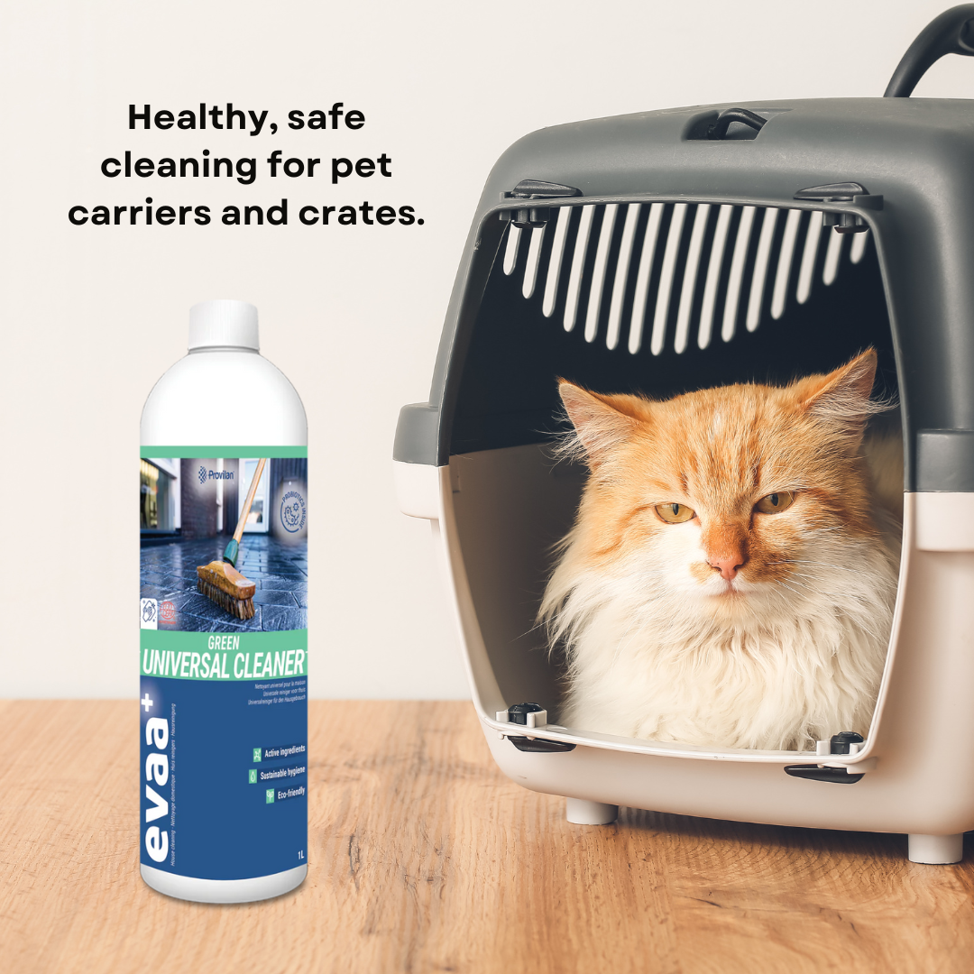 Cat in a carrier to the left of a bottle of Provilan Green Probiotic Universal Cleaner