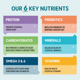 The 6 key nutrients in naturo wet food including protein, prebiotics, carbohydrates, minerals, omegas 3 & 6 and vitamins.