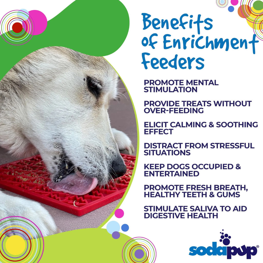 Benefits of Enrichment Feeders for Dogs