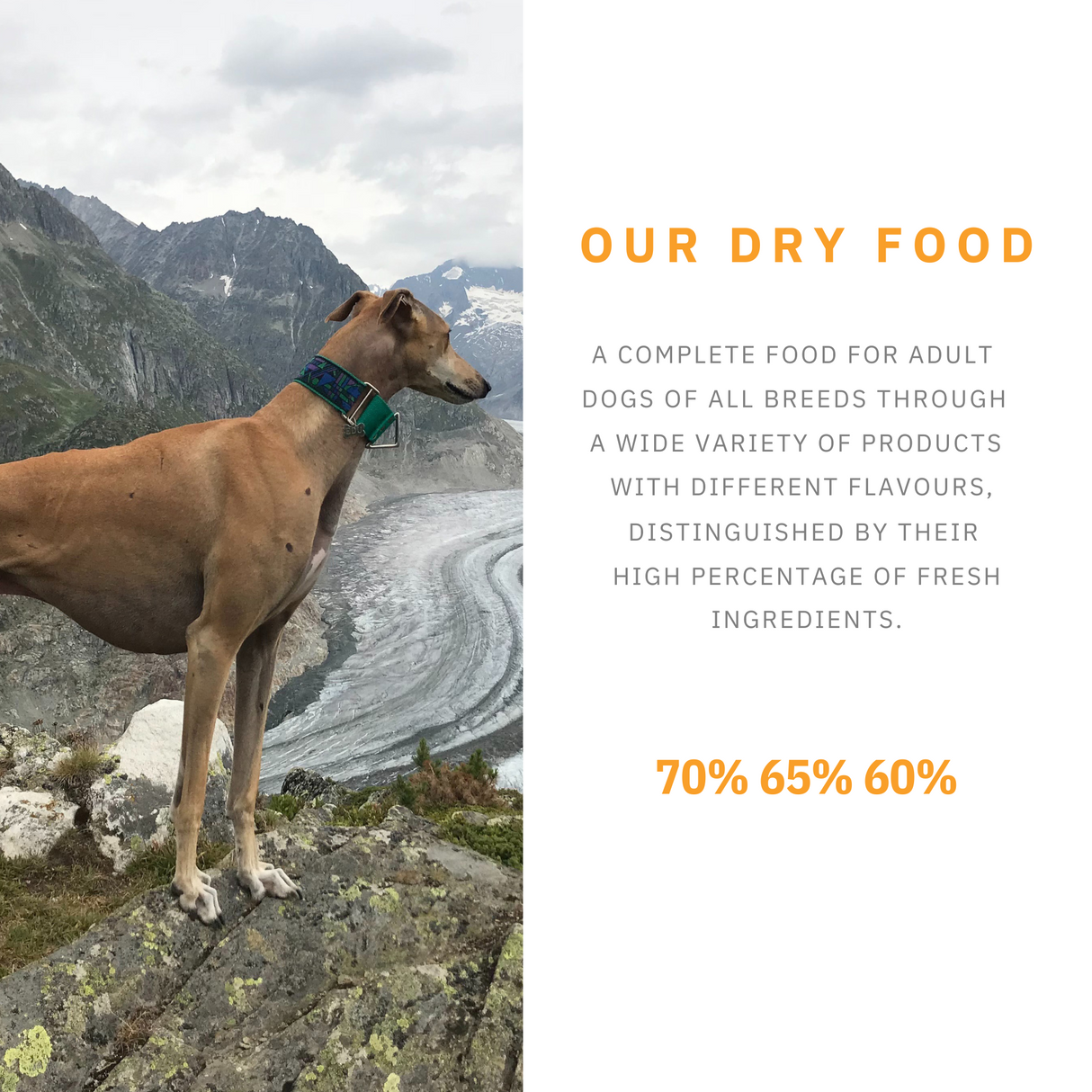 Primal Spirit Cold Pressed Dry Food.